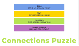 Connections Puzzle