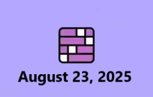 Connections NYT Answers Today: August 23, 2025 img