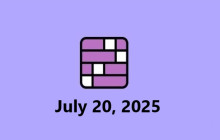 Connections NYT Answers Today: July 20, 2025 img